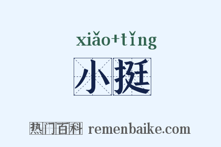 小挺是什么意思的图片